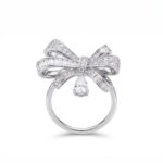 Ring 067